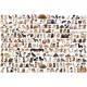 Puzzle The World of Dogs 2000T 8220-0581