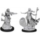 D&D Nolzurs Marvelous Miniatures Female Human Wizard