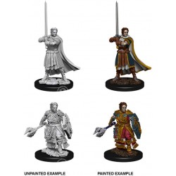 Dungeons & Dragons Nolzurs Marvelous Miniatures Male Human Cleric