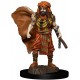 Dungeons & Dragons Fantasy Miniatures Icons of the Realms Premium Figures W4 Human Druid Male Prepainted