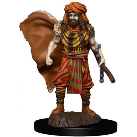 Dungeons & Dragons Fantasy Miniatures Icons of the Realms Premium Figures W4 Human Druid Male Prepainted