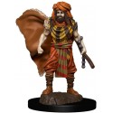 Dungeons & Dragons Fantasy Miniatures Icons of the Realms Premium Figures W4 Human Druid Male Prepainted