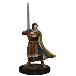 Dungeons & Dragons Fantasy Miniatures Icons of the Realms Premium Figures W4 Human Cleric Male Prepainted