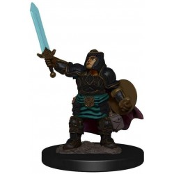 Dungeons & Dragons Fantasy Miniatures Icons of the Realms Premium Figures W4 Dwarf Paladin Female Prepainted