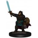 Dungeons & Dragons Fantasy Miniatures Icons of the Realms Premium Figures W4 Dwarf Paladin Female Prepainted