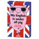 My English is under all pig