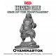 D&D: Icewind Dale - Rime of the Frostmaiden: Oyaminartok (1 Figur)