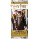 Harry Potter TCG Contact Booster