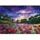 Puzzle Sundown Poppies 1000T