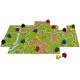 Carcassonne neue Edition