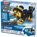 Paw Patrol Don't drop Chase