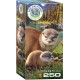 Puzzle Otters 250T 8251-5558