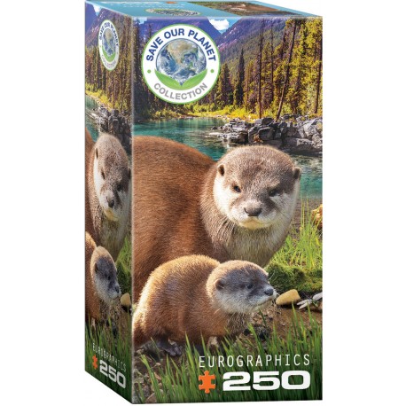 Puzzle Otters 250T 8251-5558