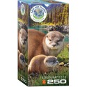 Puzzle Otters 250T 8251-5558