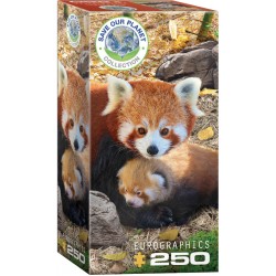 Puzzle Red Pandas 250T 8251-5557