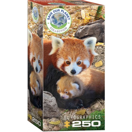 Puzzle Red Pandas 250T 8251-5557