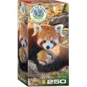 Puzzle Red Pandas 250T 8251-5557