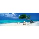 Puzzle Divi Divi Tree 1000T Panorama Edition Humboldt