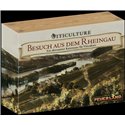 Viticulture - Besuch aus dem Rheingau