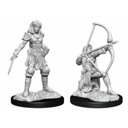 Pathfinder Deep Cuts Human Fighter Female