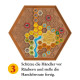 Catan Logik Rätsel