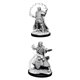 D&D Nolzurs Marvelous Miniatures Male Human Wizard 