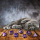 CATS Dice Set Purrito