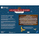 Mystery Kids Adventskalender Der Piratenschatz