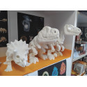 Dinosaurier Skelett ca 15cm (PLA 3D Druck) - T-Rex u.a.