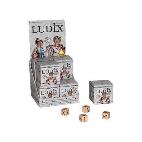 Ludix