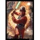 Art-Hüllen Star Wars: Power of the Light Side 63,5x88 / SWS15