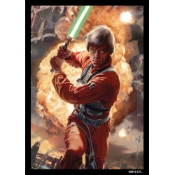 Art-Hüllen Star Wars Power of the Light Side 63,5x88 SWS15