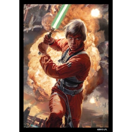 Art-Hüllen Star Wars: Power of the Light Side 63,5x88 / SWS15