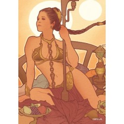 Art-Hüllen Star Wars: Princess Leia / 63,5x88 SWS10