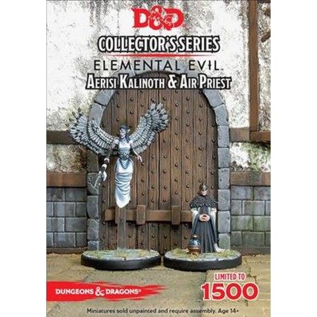 Dungeons and Dragons D&D Temple of Elemental Evil Aerisi Kalinoth & Priest