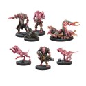 Deadzone Plague Support Booster